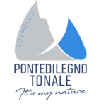 logo-pontedilegnotonale-adamelloski